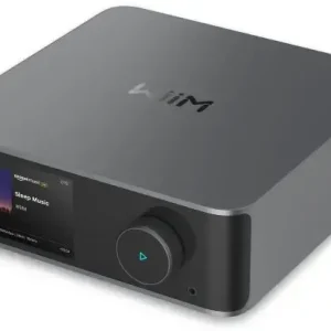 A Buon Prezzo WiiM Ultra Bluetooth Display incorporato