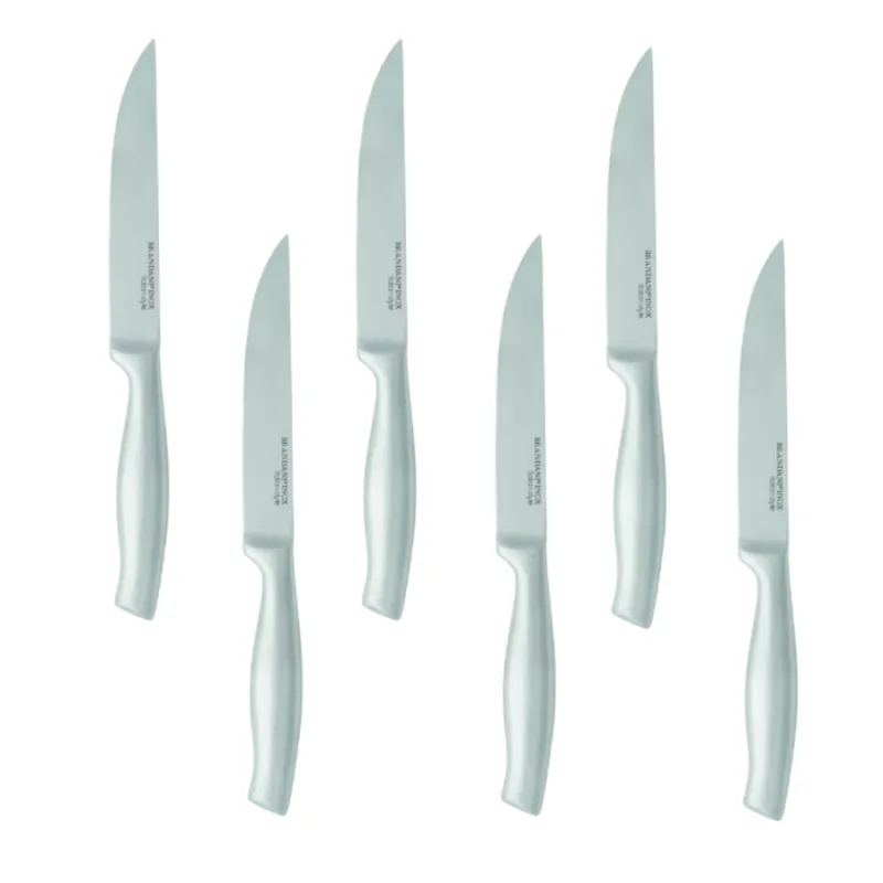 BRANDANI Set 6 pz coltelli da bistecca inox – 24 cm Solo Oggi